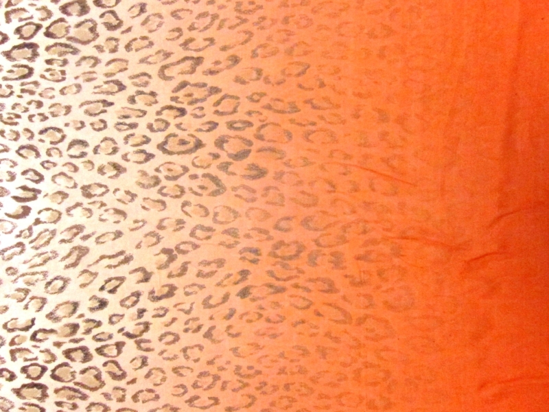 Printed Ombré Silk Chiffon Panel0