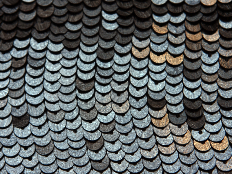 Sequins on Silk Chiffon3