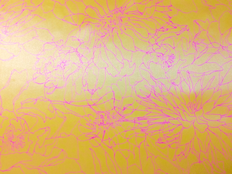 Printed Silk Charmeuse0