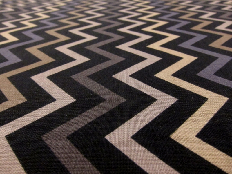 Cotton Broadcloth Print2