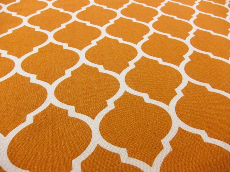 Cotton Broadcloth Print2