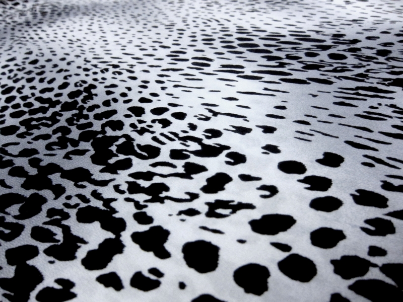 Silk Charmeuse in Snowy Leopard Print2