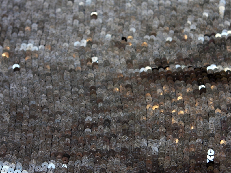 Sequins on Silk Chiffon0