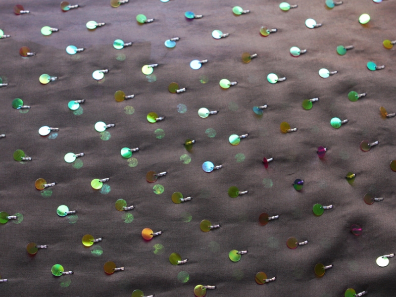 Paillettes on Silk Chiffon0