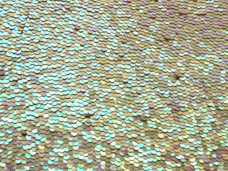 Paillettes on Silk Chiffon1
