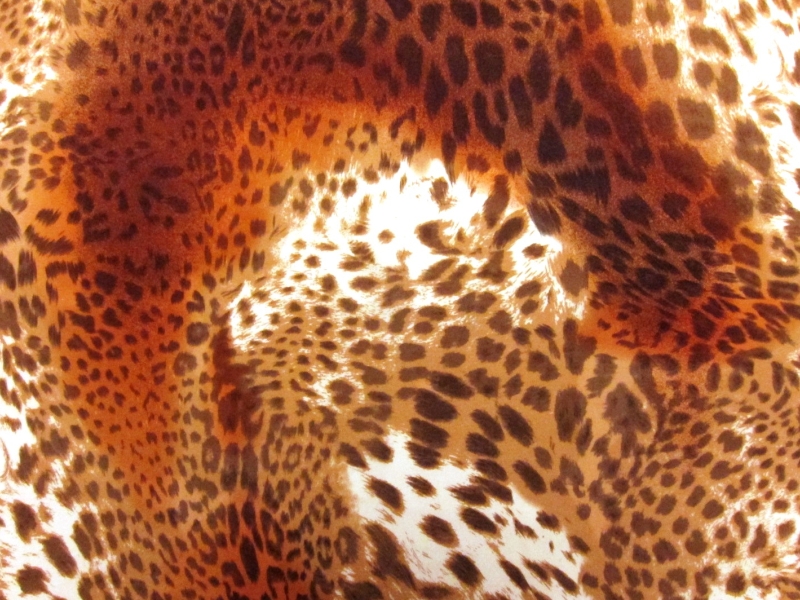 Printed Silk Charmeuse0