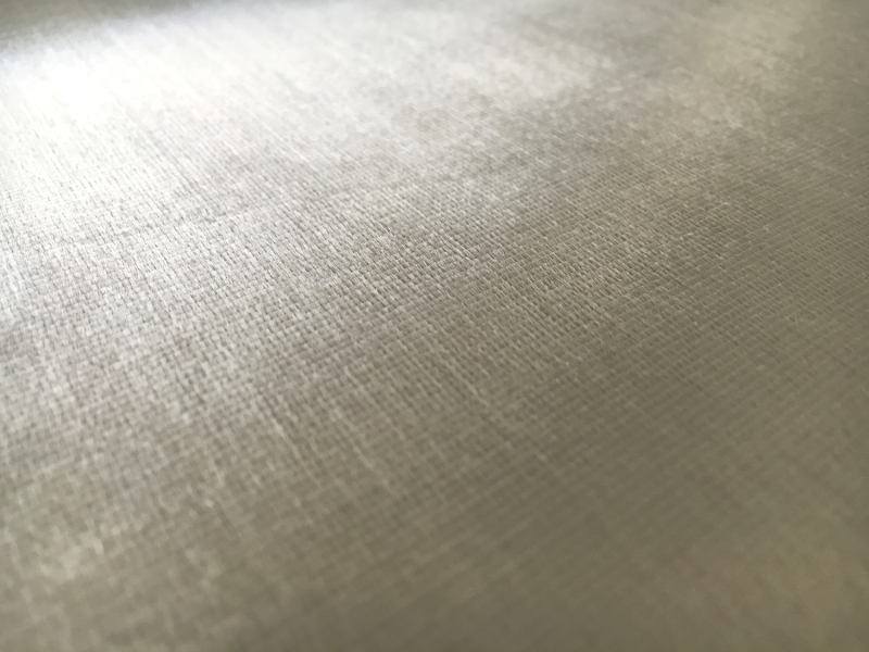 Rayon Panne Velvet in Silver0