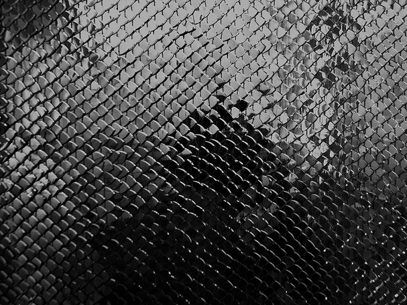 Novelty Sequins on Silk Chiffon1