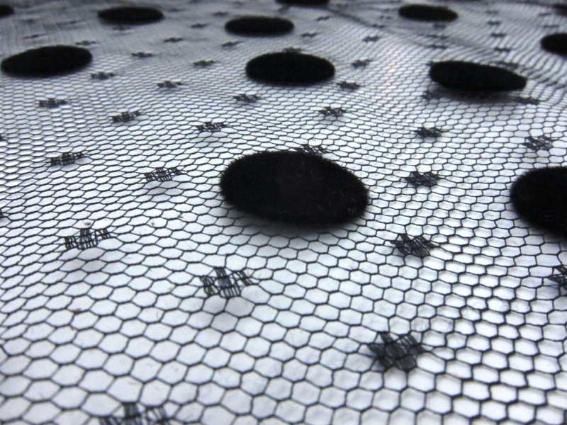 Flocking on Point dEsprit2