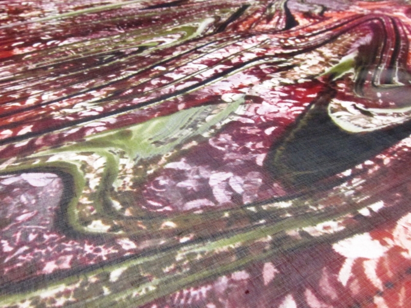 Printed Silk Chiffon2