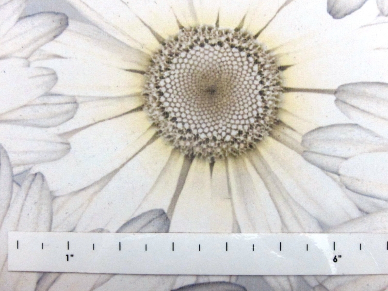 Printed Silk Chiffon1