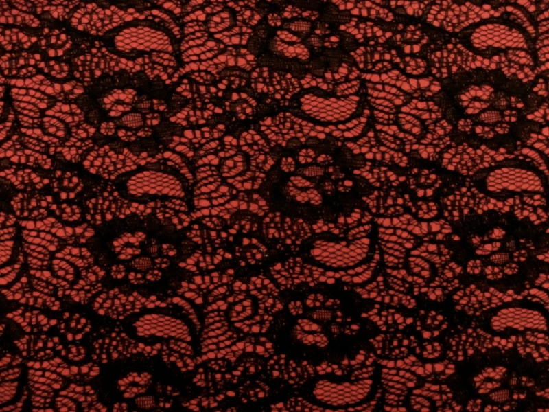 Fused Lace on Polyester Coating0