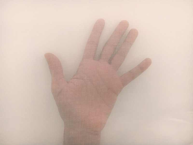 Swiss Cotton Organdy in Antique Ivory (Wide)1