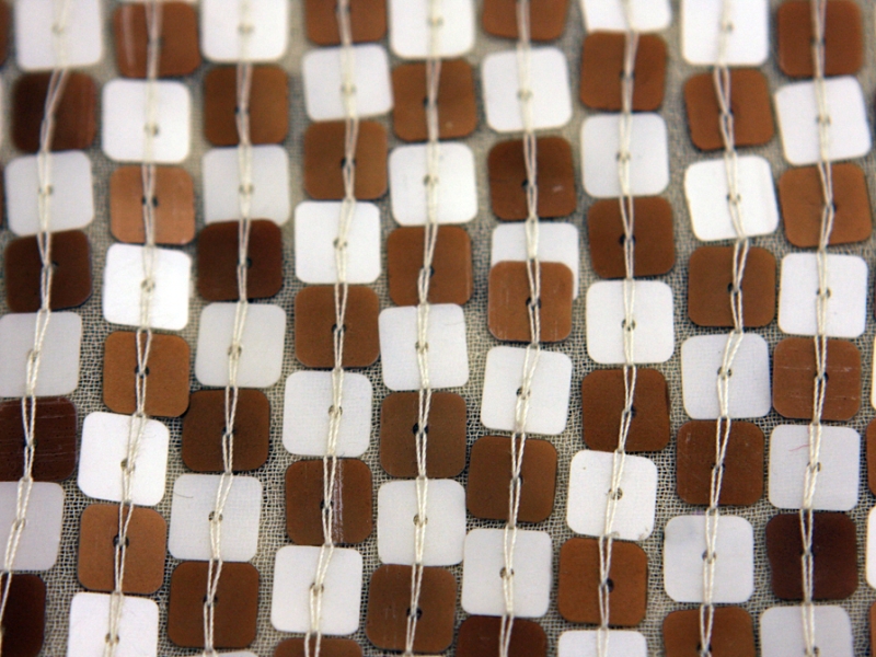 Sequins on SIlk Chiffon2