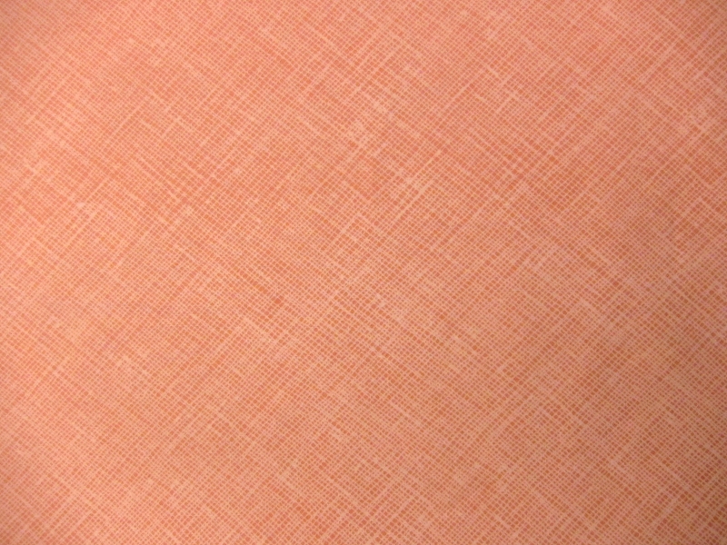 Cotton Broadcloth Print 1