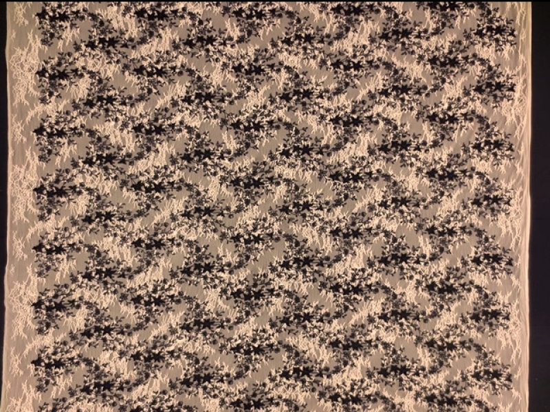 Embroidered Chantilly Lace3