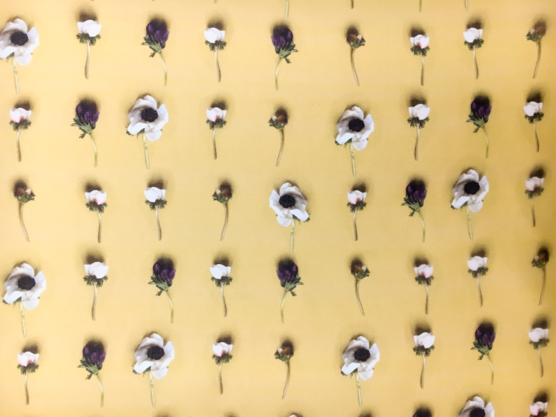 Printed Silk Organza with Rows of Anemone Flowers0