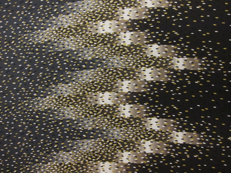 Printed Silk Charmeuse0