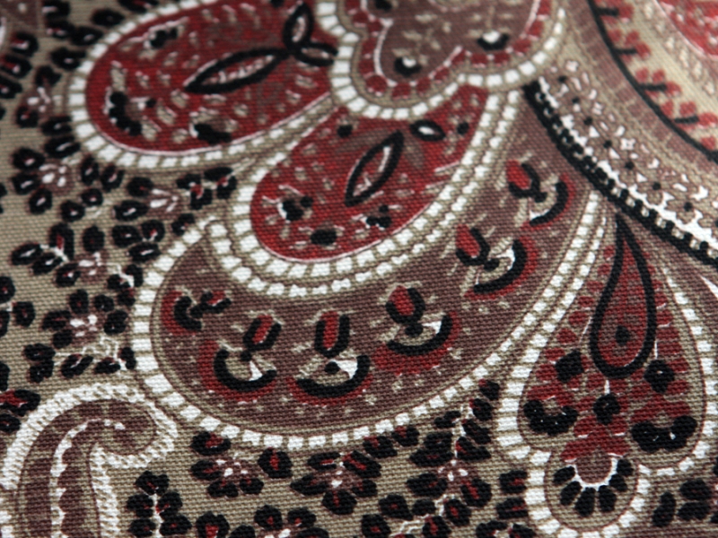 Printed Cotton Canvas2