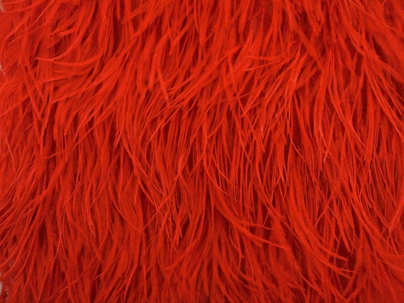 Ostrich Feather Trimmed Illusion0