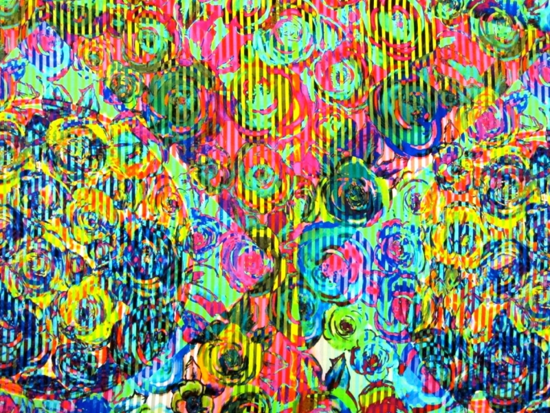 Printed Silk Charmeuse0