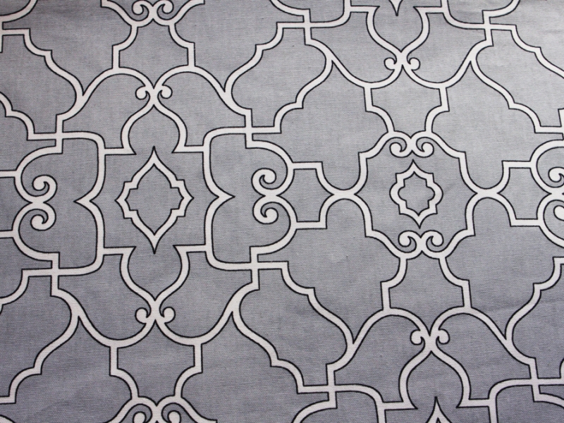 Printed Cotton Canvas0