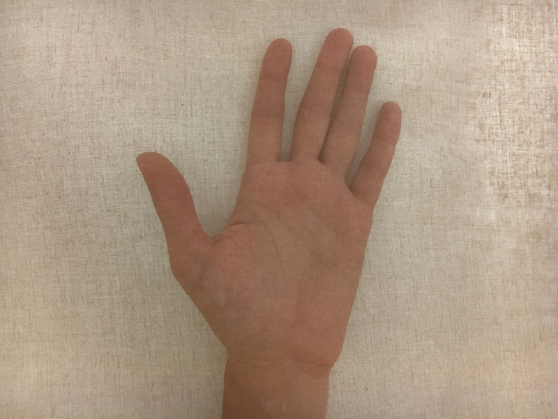 Swiss Cotton Organdy in Copper 1