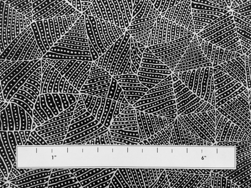 Australian Cotton Print With Aboriginal Motif 1