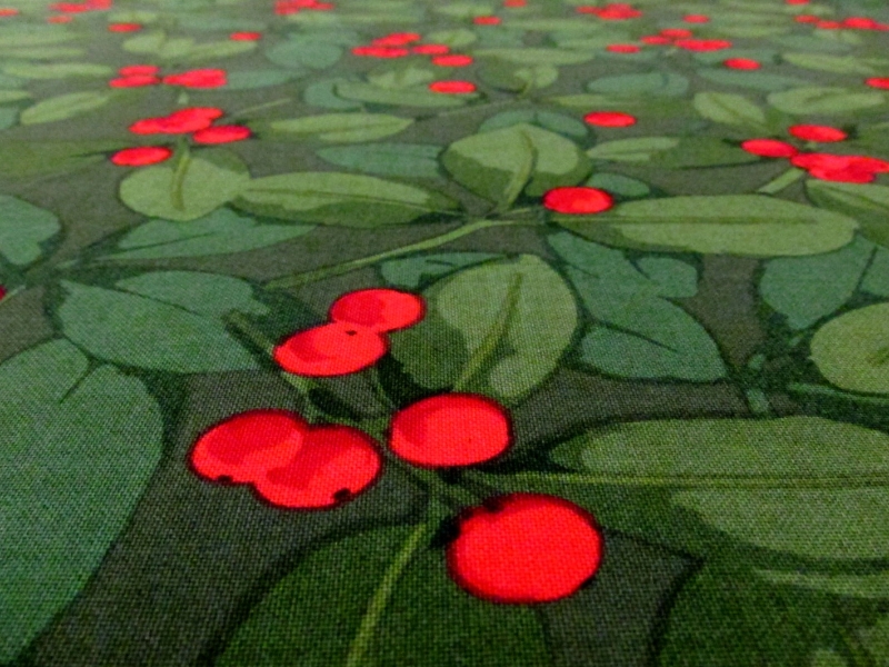 Cotton Broadcloth Print2