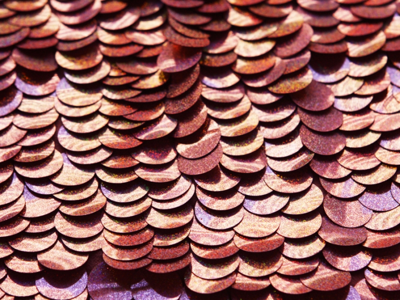 Pailettes on Silk Chiffon1