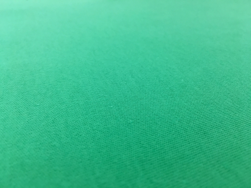 Catalina Cotton Jersey in Aloe0