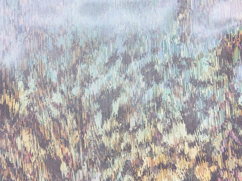 Stretch Hologram Lamé0