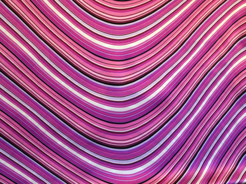 Printed Silk Charmeuse1