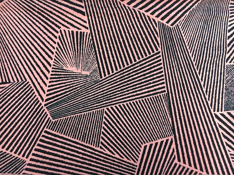 Poly Spandex Jersey Print in Navy and Pink0