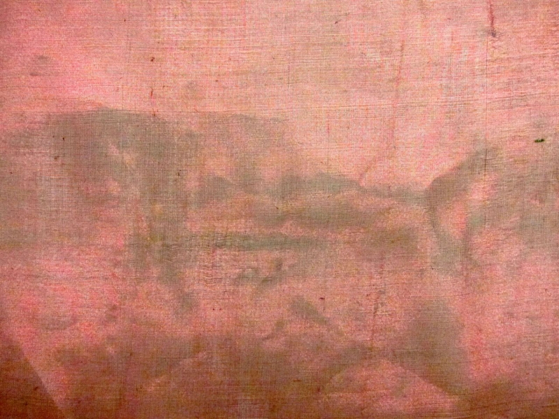 Metallic Silk Organza1