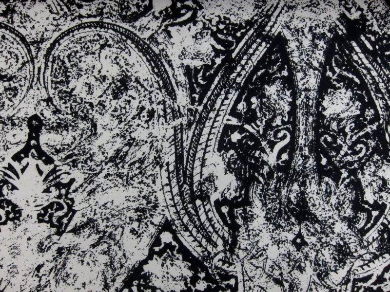 Printed Silk Mikado0