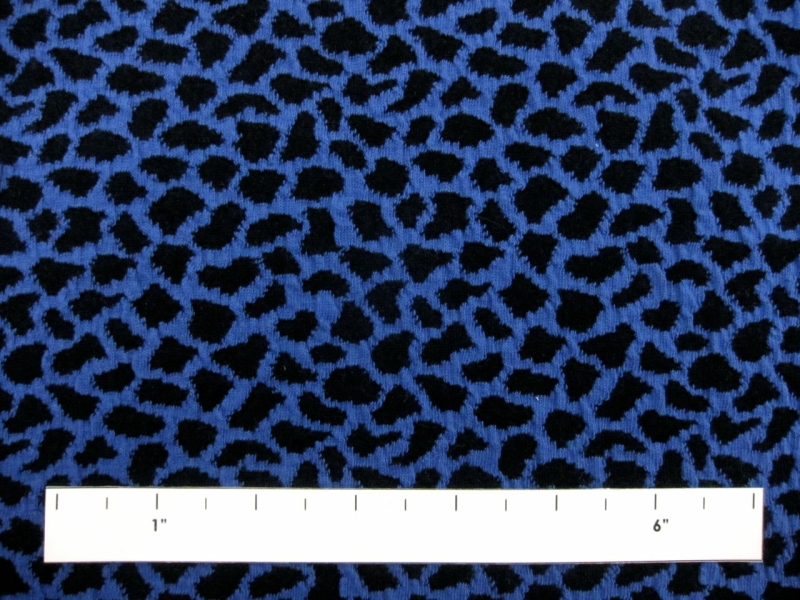 Cotton Blend Knit With Animal Print in Cobalt1