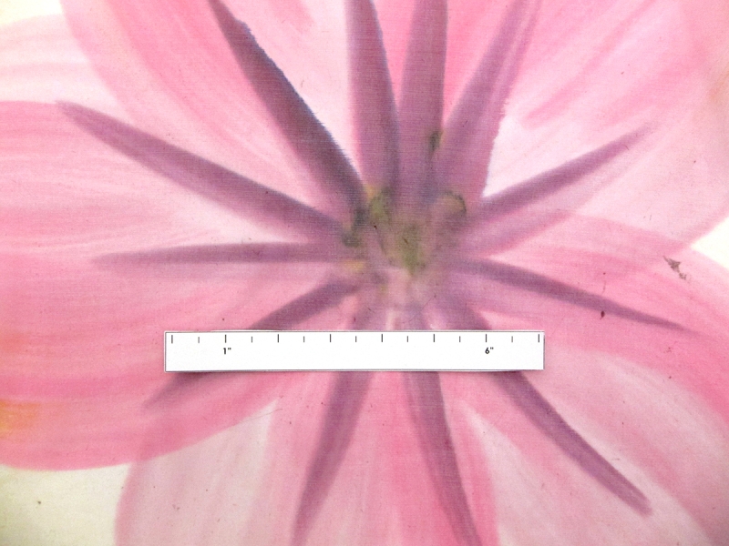 Hand Painted Silk Chiffon2