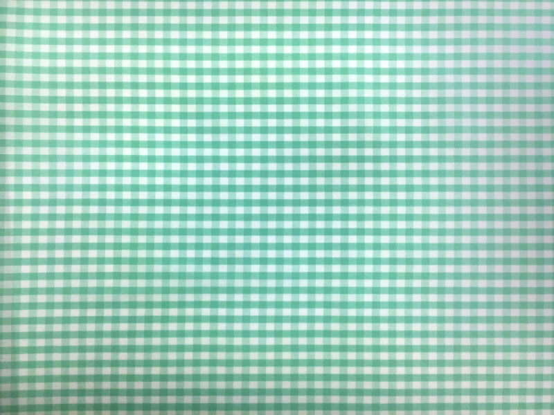 1/4" Cotton Gingham in Seafoam0