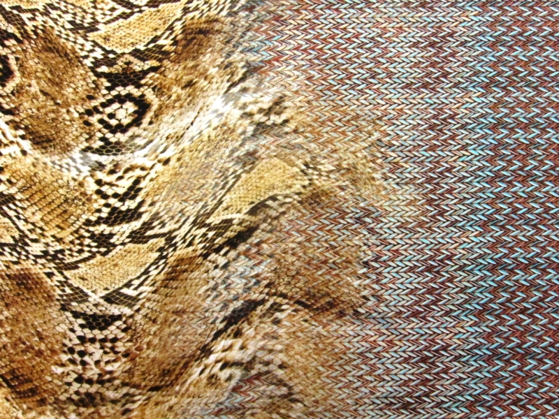 Printed Silk Charmeuse0