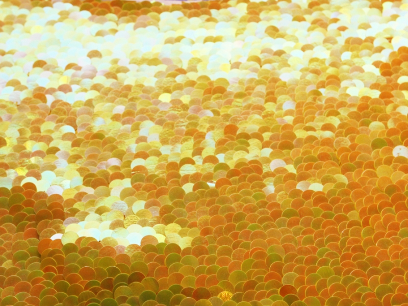 Paillettes on Silk Chiffon0