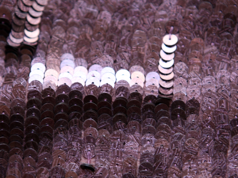 Sequins on Silk Chiffon3