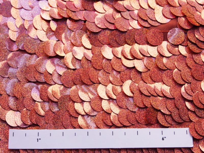 Pailettes on Silk Chiffon2