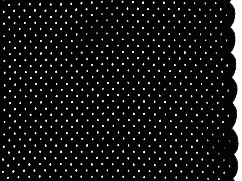 Cotton Eyelet with Scalloped Edge in Black0