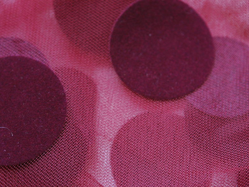 Flocked Dots on Illusion2