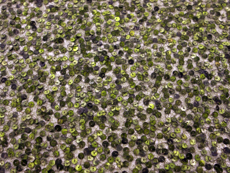 Sequins on Metallic Tulle0