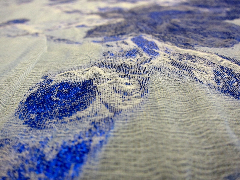 Silk Blend Metallic Fil Coupé Organza Cloqué Panel1