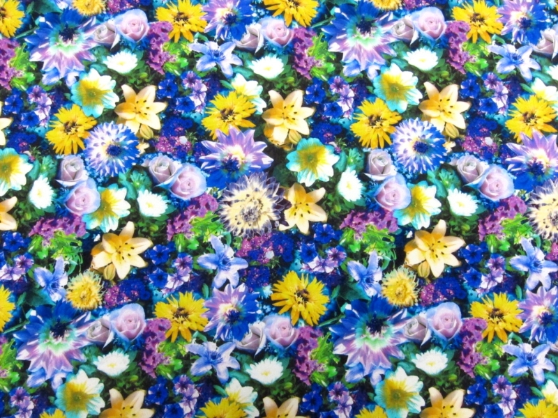 Printed Silk Charmeuse0