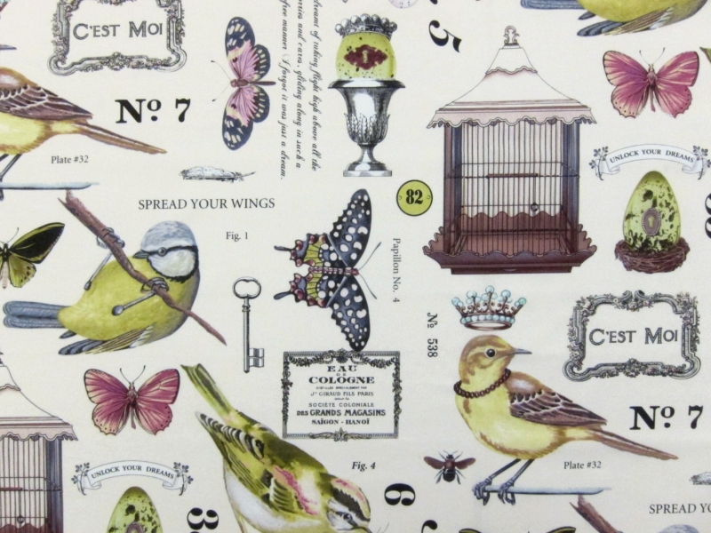 Cotton Broadcloth Print0