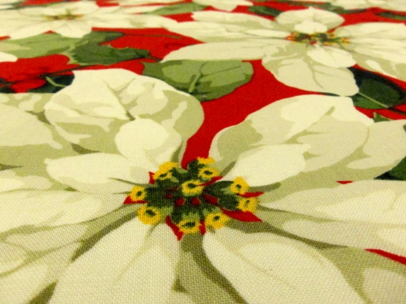 Cotton Broadcloth Print2